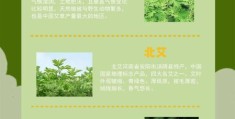 期期艾艾是什么意思？看完这篇你就明白了！
