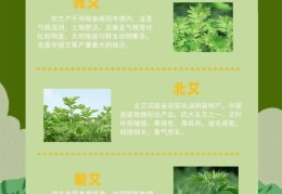 期期艾艾是什么意思？看完这篇你就明白了！