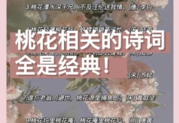 人面桃花的意思你知道吗？这句诗词背后有段爱情。