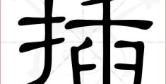 插的笔顺顺序是啥？轻松掌握汉字书写！