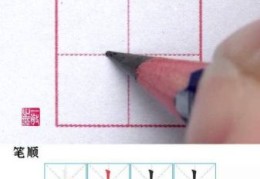 快速学会土的笔顺，孩子写字再也不犯愁！