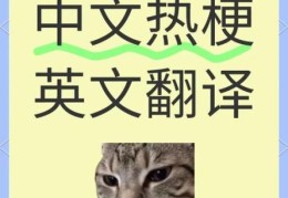 搜噶是什么意思网络流行语解析大揭秘