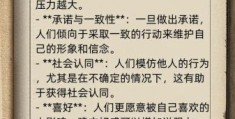 萨姆吉尔影响力 为什么大家都关注他