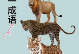 一举两失形容什么动物？答案揭晓你可能想不到！