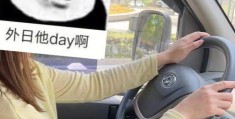 GV是什么意思 详细说明GV的定义和常见场景