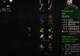 巫师加强版攻略分享快速升级装备指南