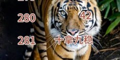 龙虎争霸猜一动物答案公布，看看你猜对了吗？