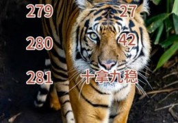 龙虎争霸猜一动物答案公布，看看你猜对了吗？
