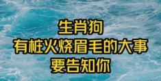 火烧眉毛打一准确动物是什么？正确答案揭晓！