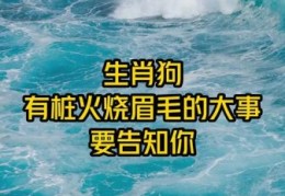 火烧眉毛打一准确动物是什么？正确答案揭晓！