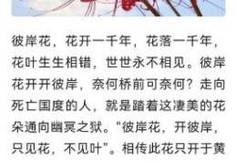 朽木生花的意思出自哪里？原来它有这么美丽的传说！
