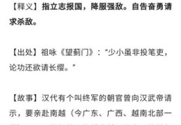 抵瑕蹈隙的意思解析，深度挖掘成语背后故事！
