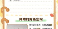 家里有蚂蚁窝怎么办 专家推荐的灭蚁最佳方案