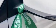 绿丝带的含义大解析为什么越来越多人佩戴
