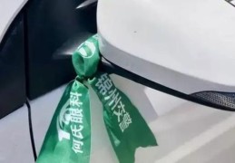 绿丝带的含义大解析为什么越来越多人佩戴