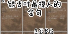 你喜欢银杏吗下一句如何巧妙回应更撩人