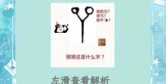 自有一日出头天打一汉字答案是什么？别再猜错了！