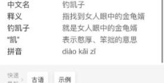 钓凯子是什么意思揭秘网络流行语背后的含义