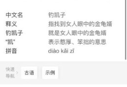 钓凯子是什么意思揭秘网络流行语背后的含义