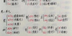 “吗”的多音字怎么用？实用例句帮你学！