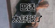 巴适是什么意思 四川方言巴适的几种常见用法
