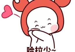 哈拉少什么意思教你快速理解这个词