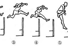 七步上栏技巧大揭秘轻松学会跨栏基本功