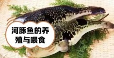 信及豚鱼是什么意思？典故来源一次说清楚！