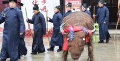 石阡说春是哪个民族的风俗习惯