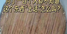 方方土是什么意思 网友热议的真相是什么