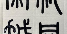 视同秦越的意思是什么？白话文轻松解释清楚