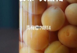 梅子黄时是什么季节 揭秘这个时节的独特魅力