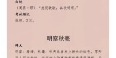 显微镜对应的成语是什么？洞察秋毫原来是这样！
