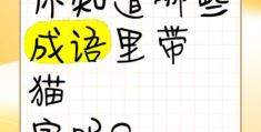 阿猫阿狗是成语吗？别再用错了，正确用法在这里！