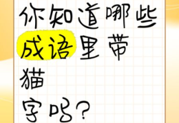 阿猫阿狗是成语吗？别再用错了，正确用法在这里！