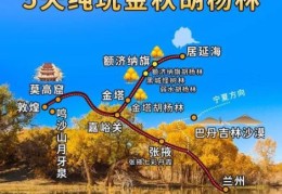 额济纳自助游攻略 教你玩转大漠胡杨林