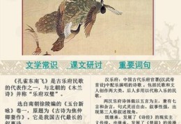 展翅高飞的意思到底是什么？深入解读带你了解！