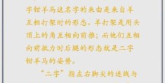 马中关五是什么意思？别再问错了，答案在这里！