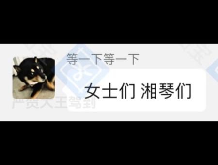 捡手机文学是什么意思 带你了解这种新型网络文学现象
