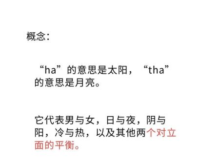哈拉少什么意思教你快速理解这个词