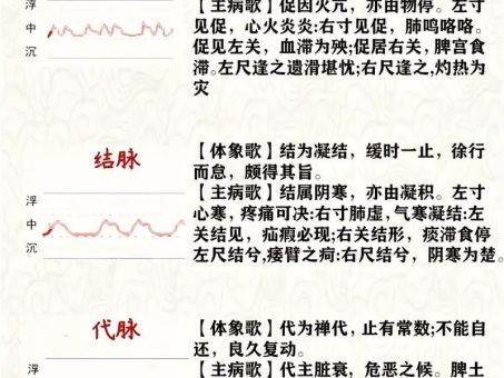 中医四诊望闻问切是谁提出的你知道吗