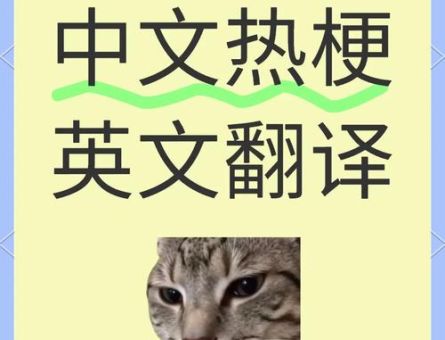 搜噶是什么意思网络流行语解析大揭秘