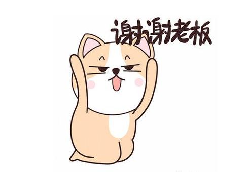谢谢老板是什么梗 为什么大家都在刷这句话
