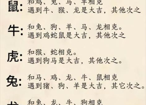 天下一家解什么动物 答案就在这些生肖特征里