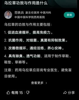 乌拉草有什么特点揭秘它的三大独特之处