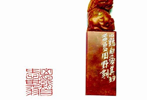 NewBee是什么意思 从字面到引申义的全面解析