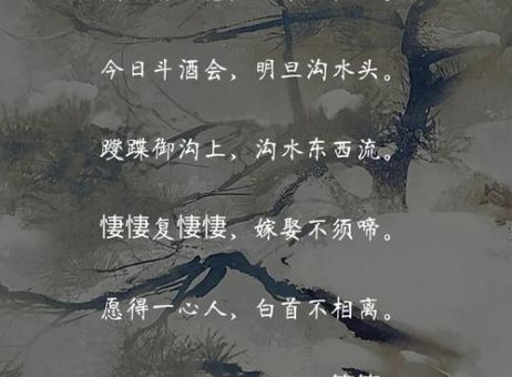 愿得一人心白首不相离下一句你知道吗千古名句完整赏析