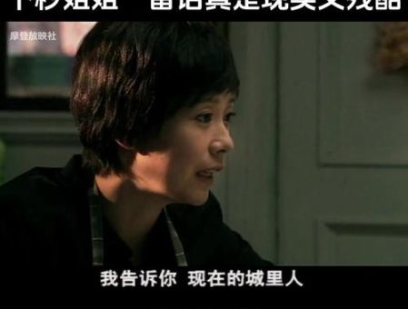 蜗居原型故事 房价高压下的普通人生活
