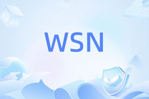 wsn是什么梗 揭秘网络流行语wsn的真实含义