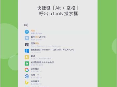 快速播放idanmu文件 实用工具和操作指南